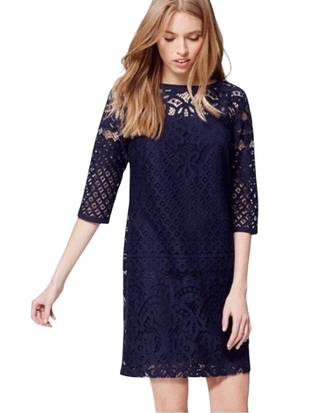 LOFT Deep Blue Lace Overlay Shift Dress Size 8